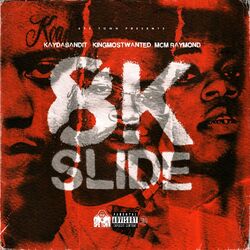 Cover of 8K Slide