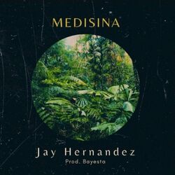 Cover of Medisina