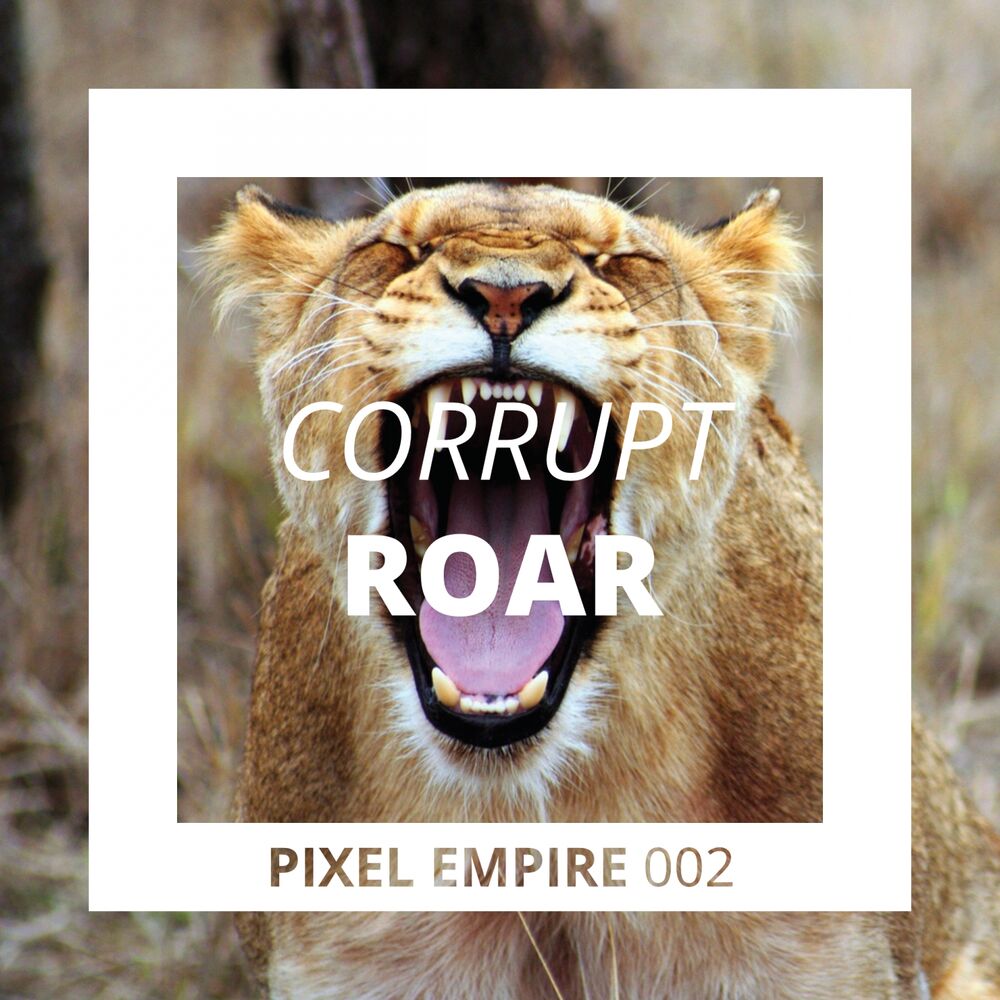 Picture of Roar