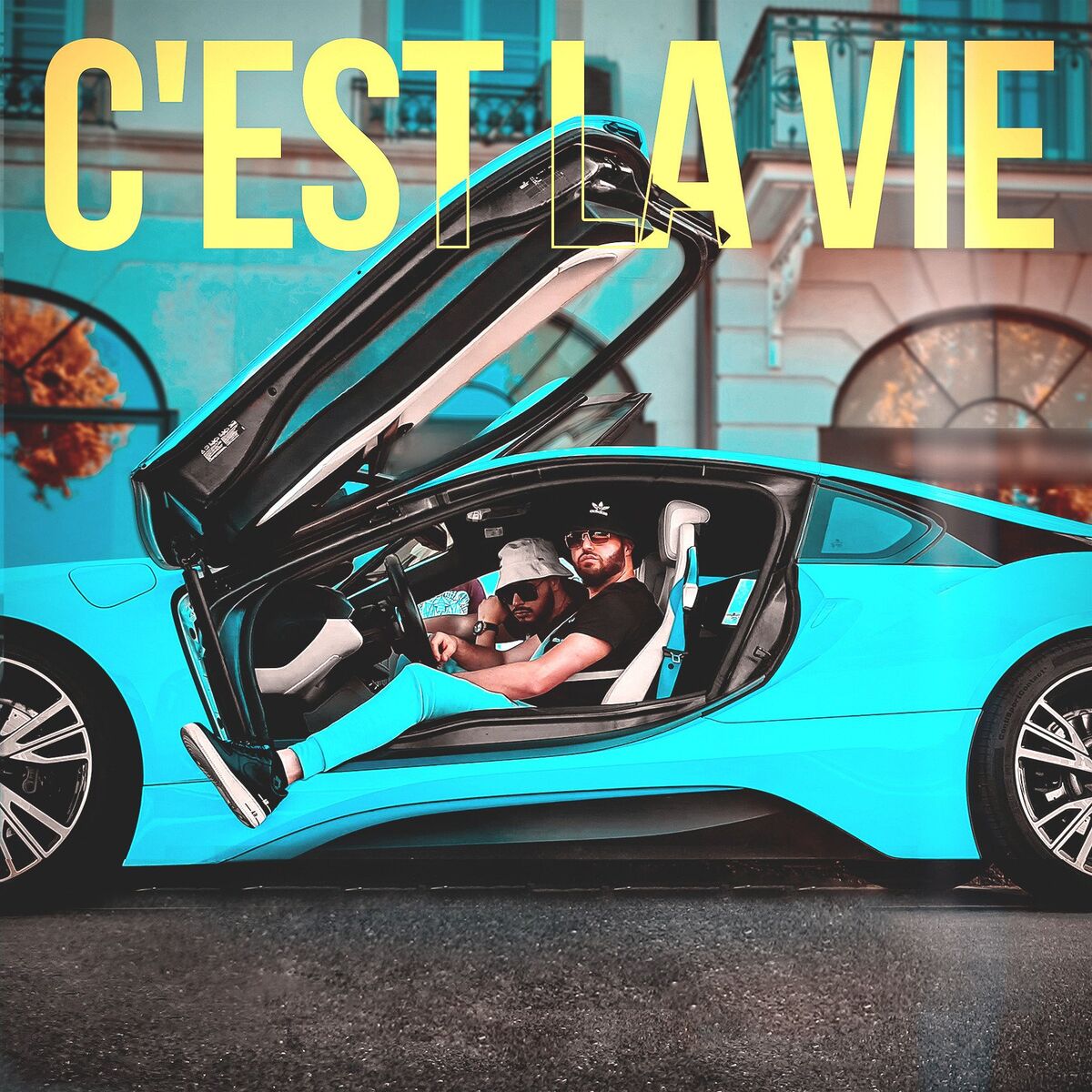 Album cover of C'est La Vie