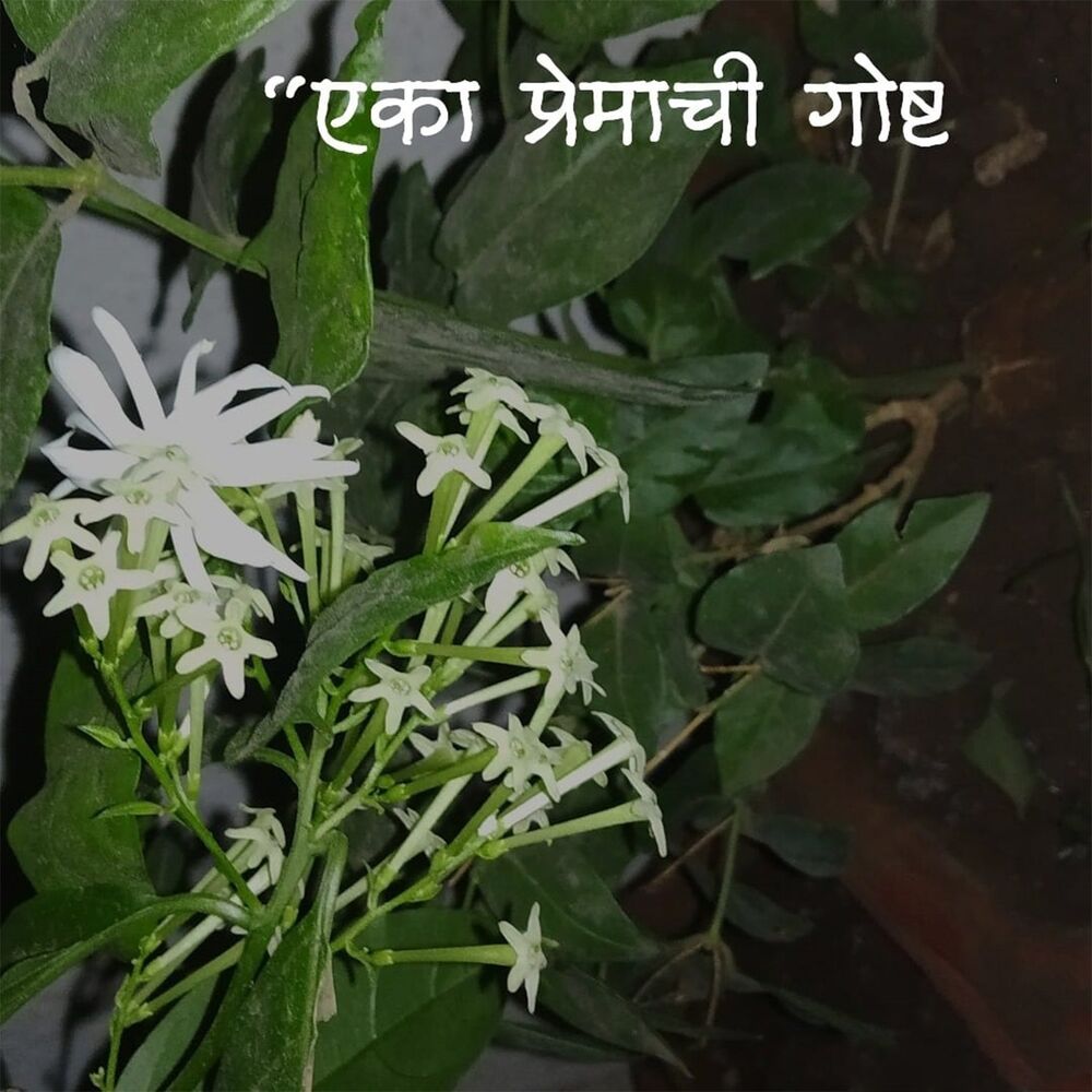 Picture of Eka Premachi Gosht