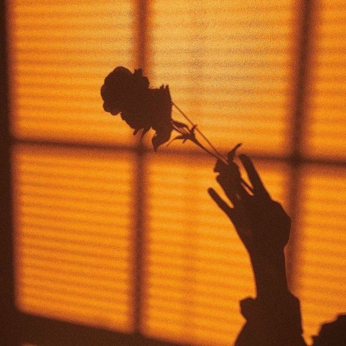 Album cover of Parfum