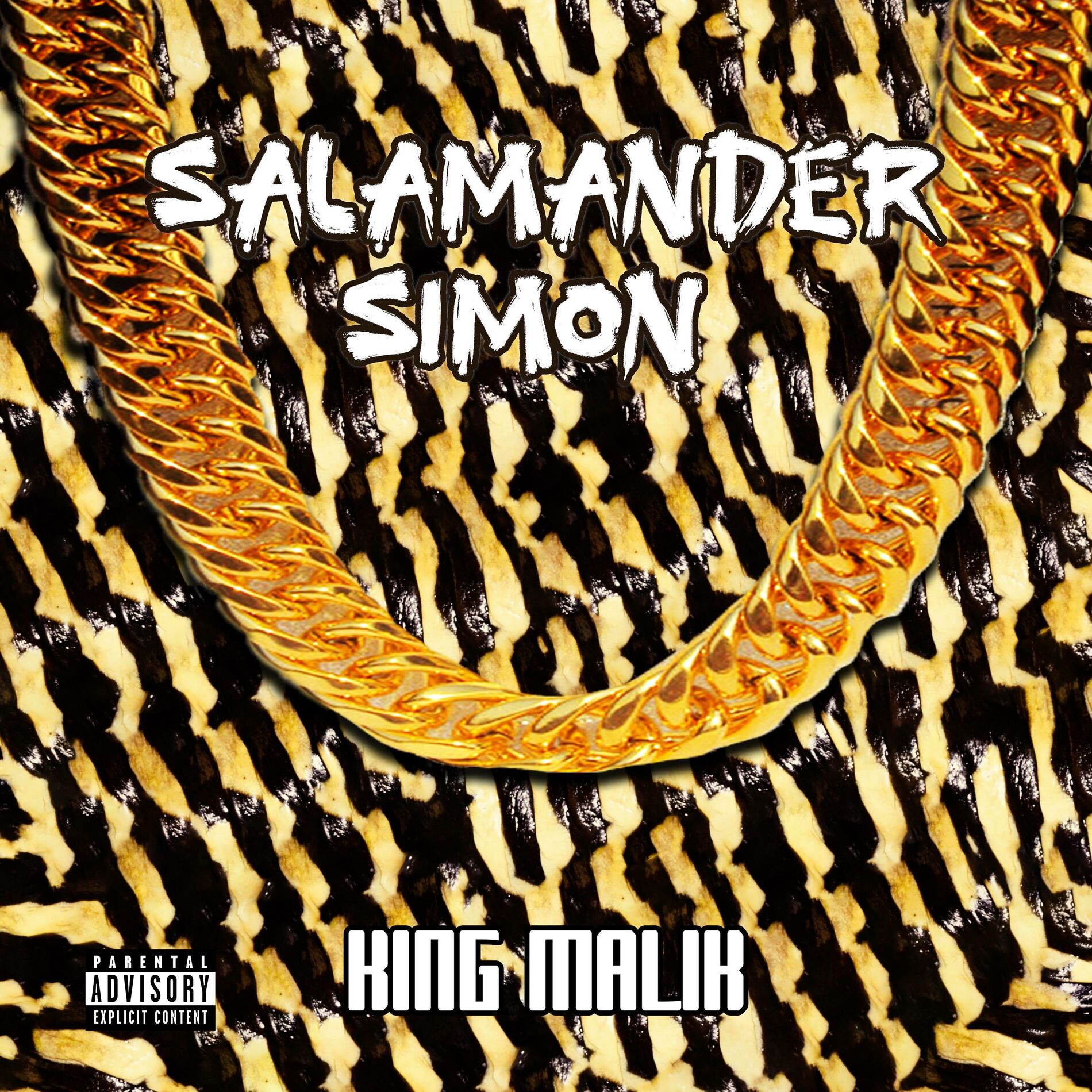 Album cover of Salamander Simon