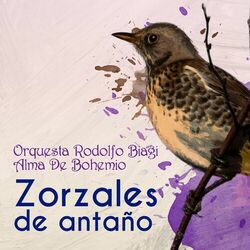 Cover of Zorzales de Antaño - Orquesta Rodolfo Biagi - Alma De Bohemio