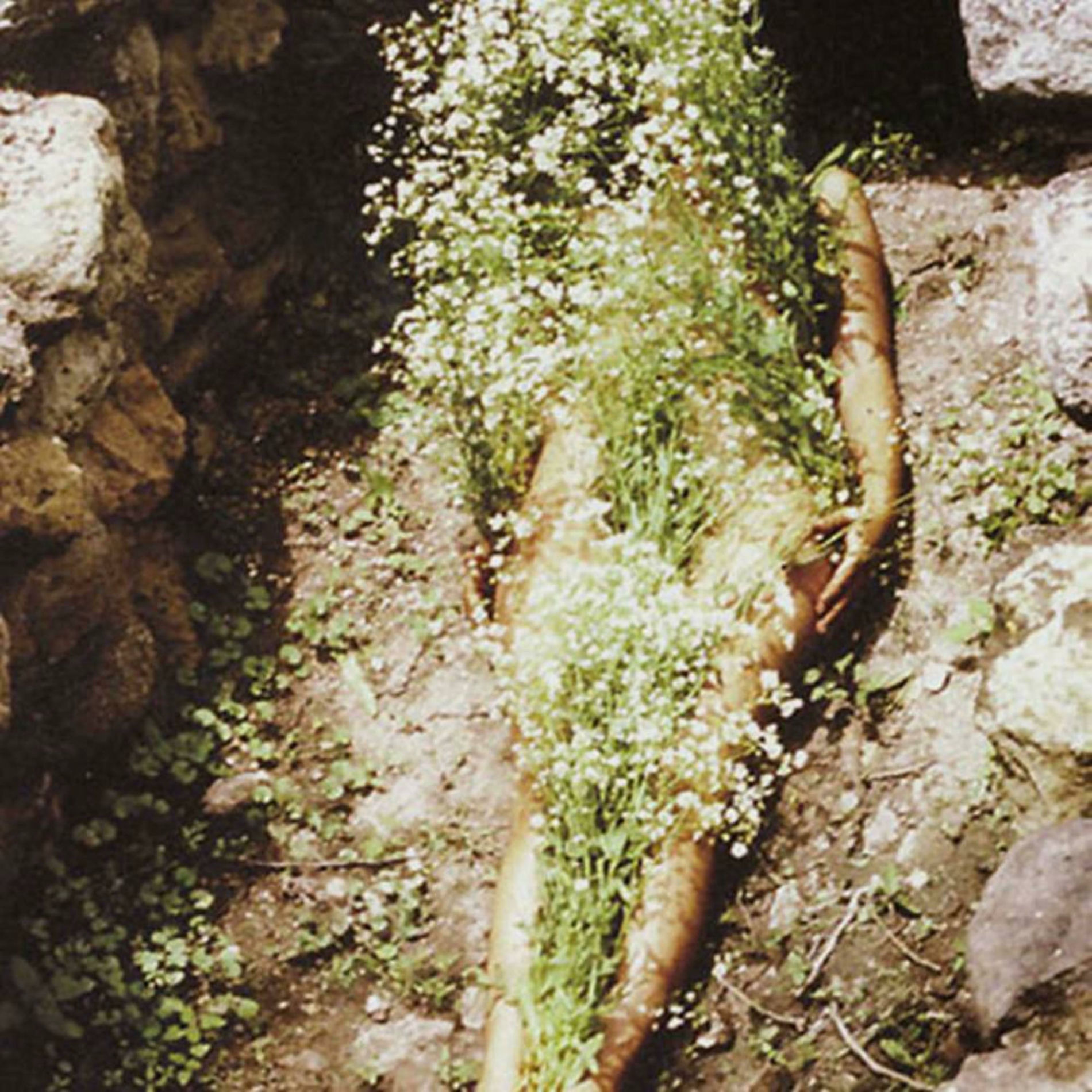 Album cover of For the 240 Commute