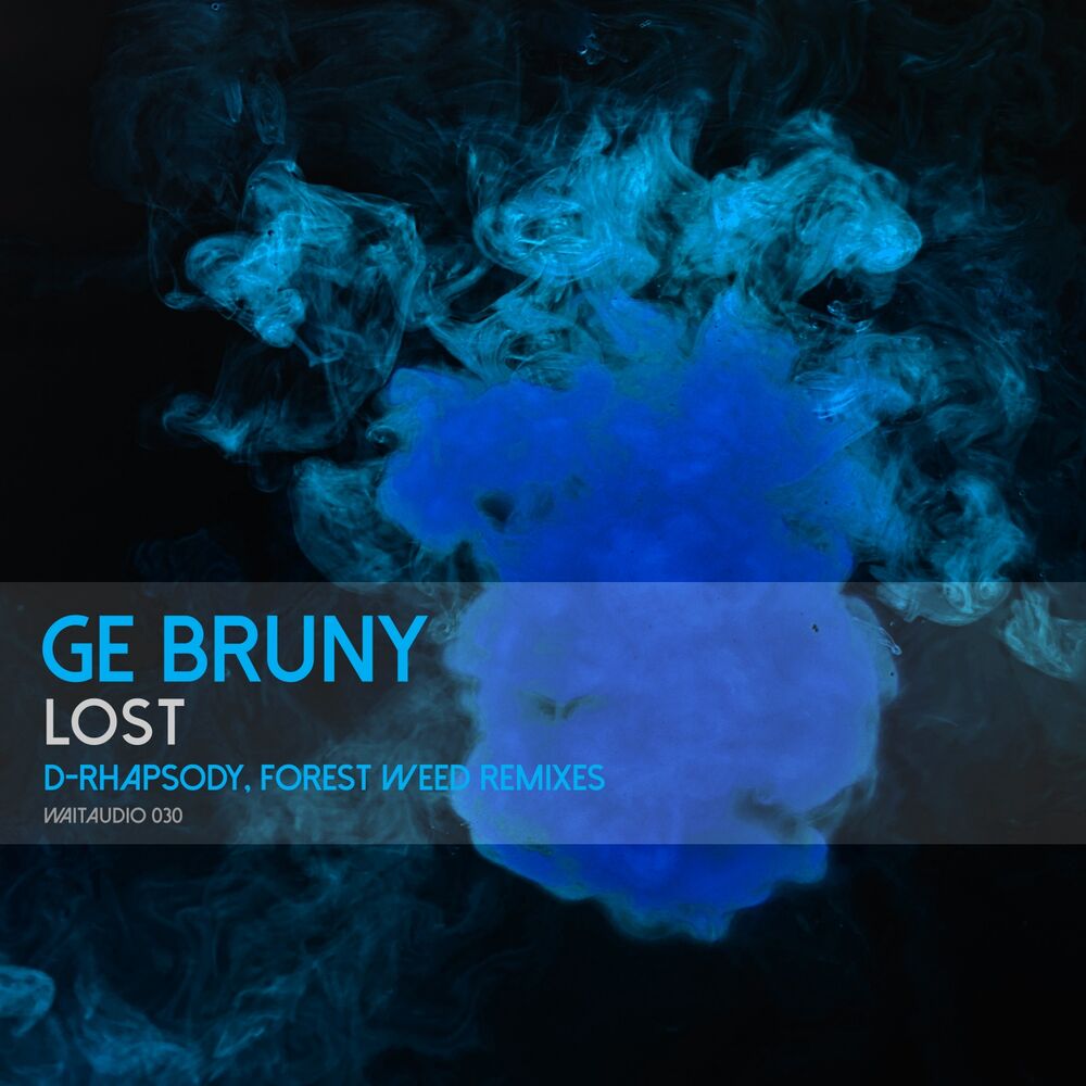 Picture of Lost (Remix Edition)