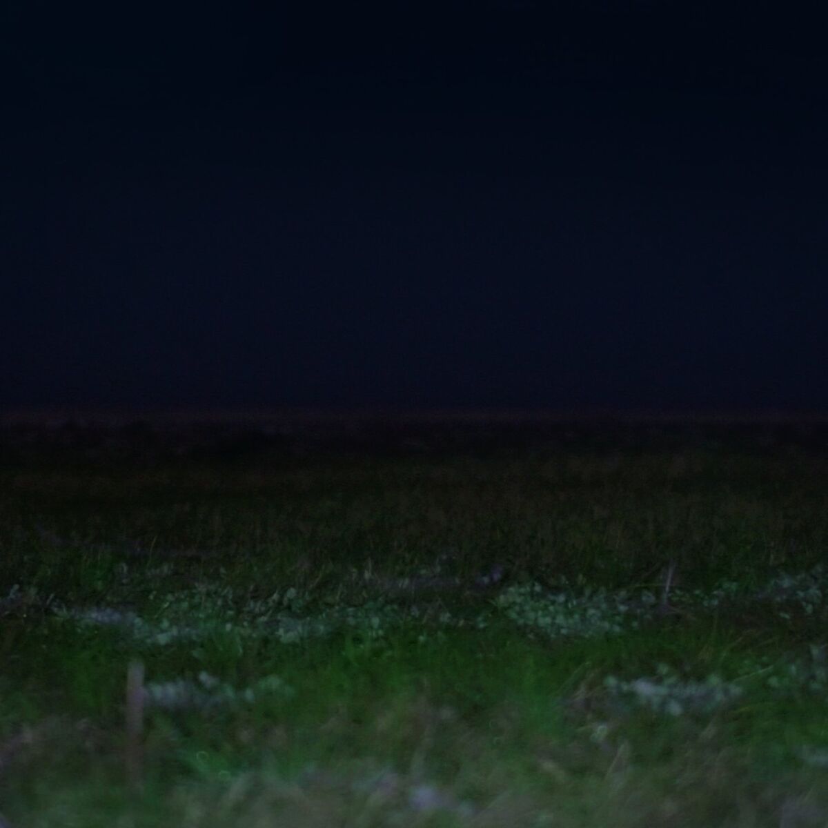 Album cover of Different Trains (feat. Tohji)