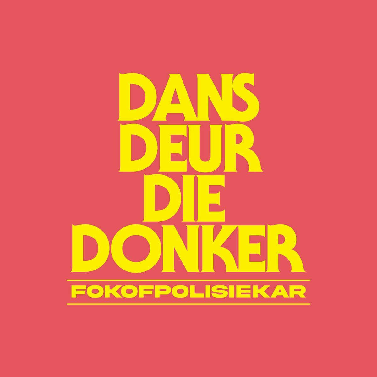 Album cover of Dans Deur Die Donker