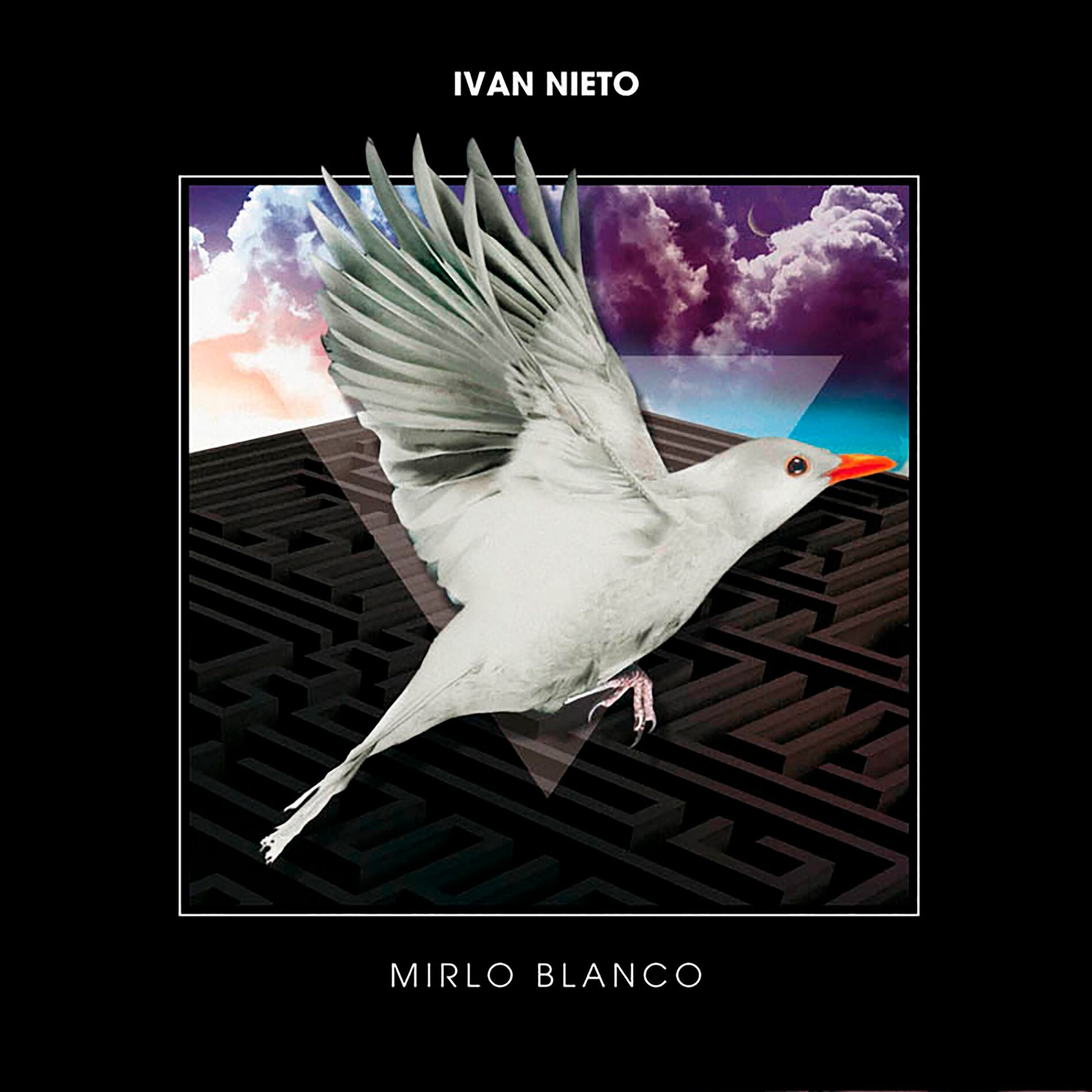 Album cover of Mirlo Blanco