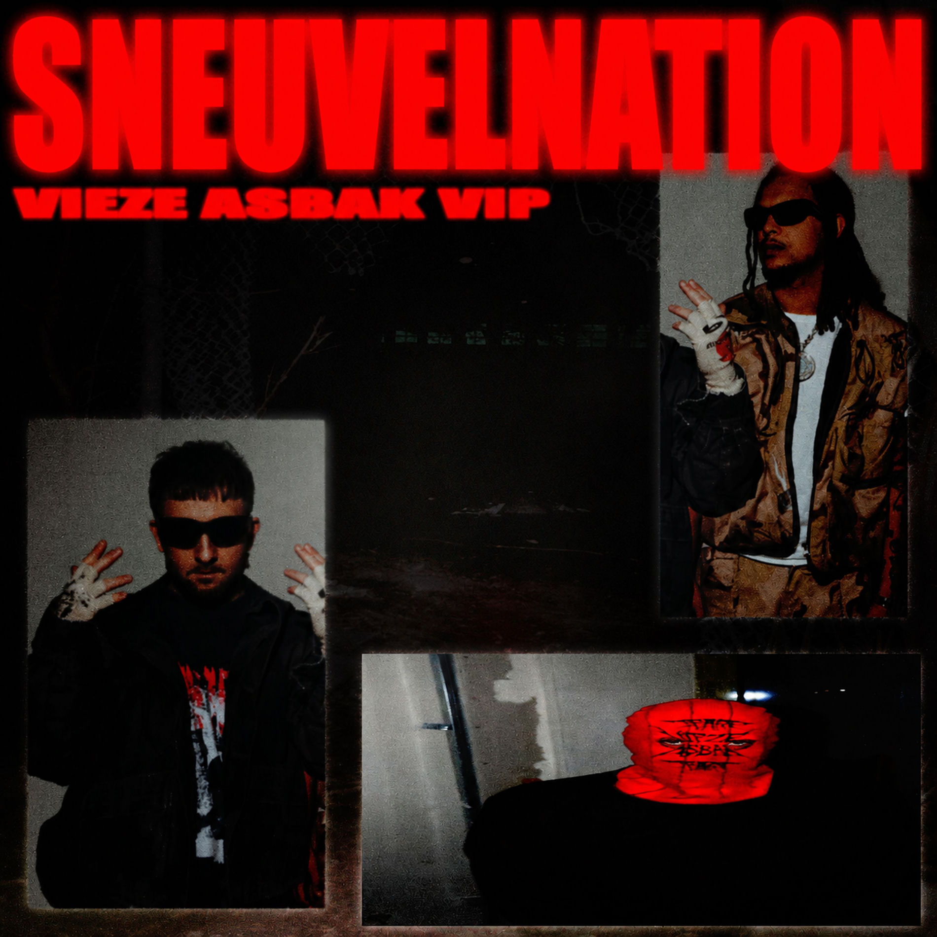 Album cover of Sneuvelnation VIP
