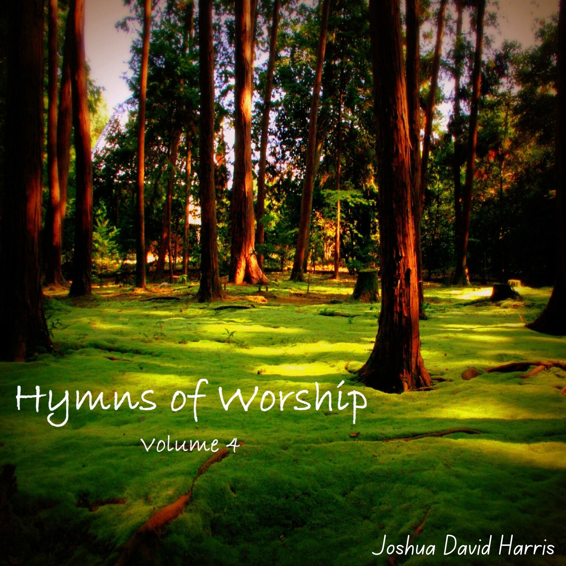 Album cover of Hymns of Worship, Vol. 4