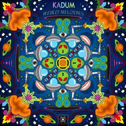 Cover of Weird Melodies