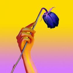 Cover of Lonely (feat. MAX) (Remixes)