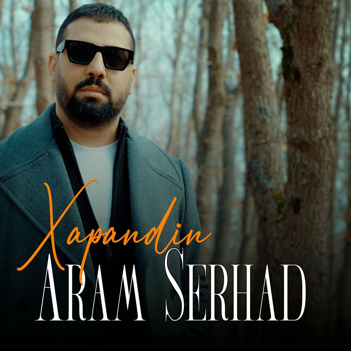 Album cover of Xapandin