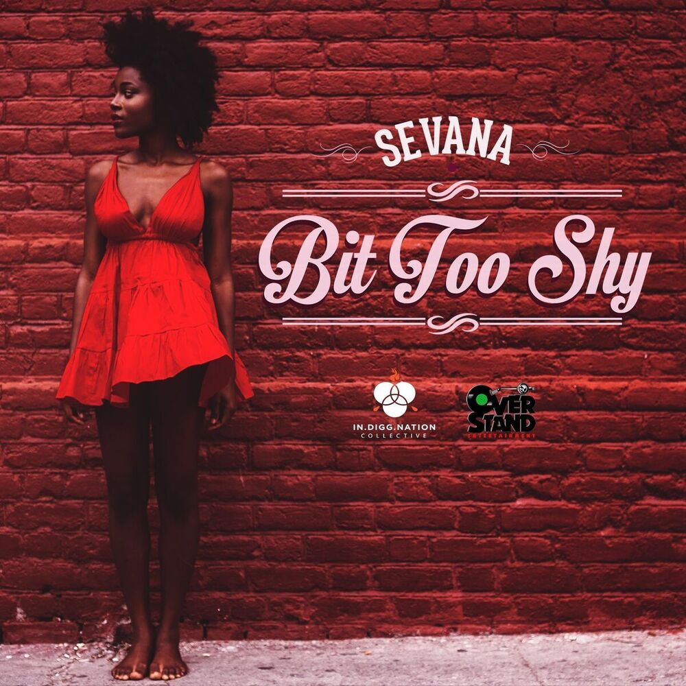 Picture of Bit Too Shy -Single