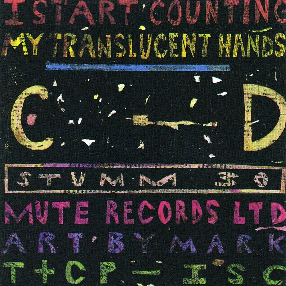 Picture of My Translucent Hands
