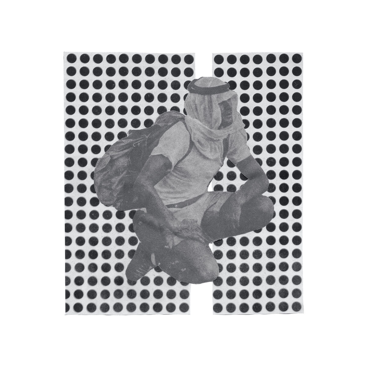 Album cover of The Album Paranoia