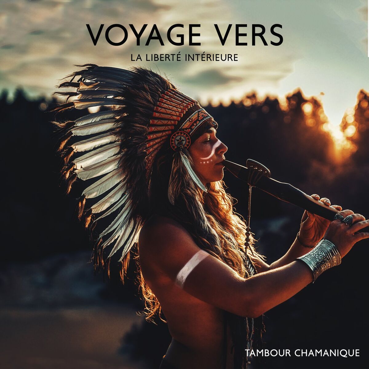 Album cover of Voyage vers la liberté intérieure: Tambour chamanique, tribu puissante pour vaincre la peur, la colère, le stress