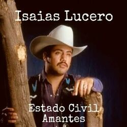 Cover of Estado Civil Amantes