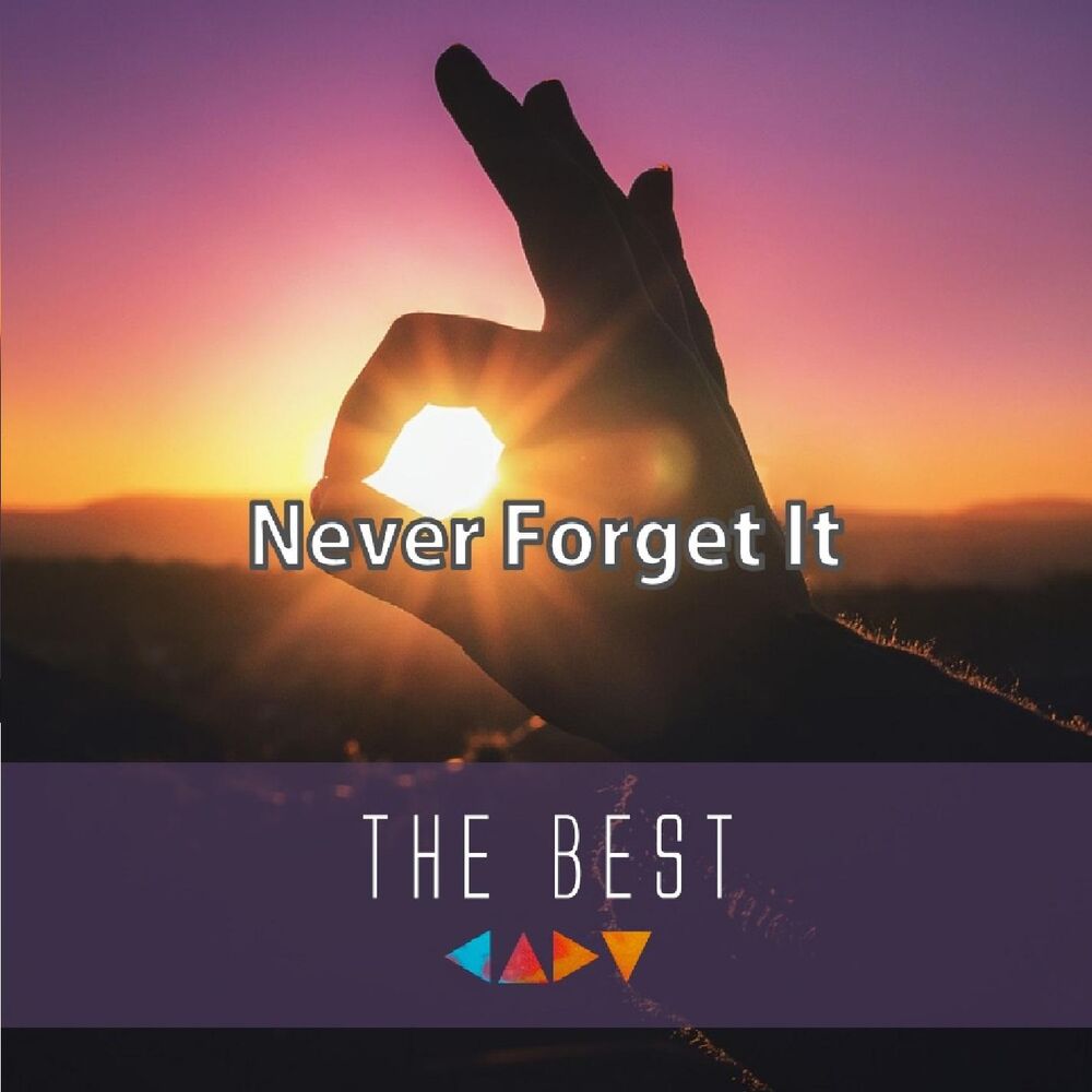 Picture of Never Forget It - THE BEST (Triangle Music)