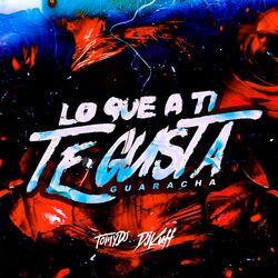 Cover of Lo Que a ti te Gusta (Guaracha)