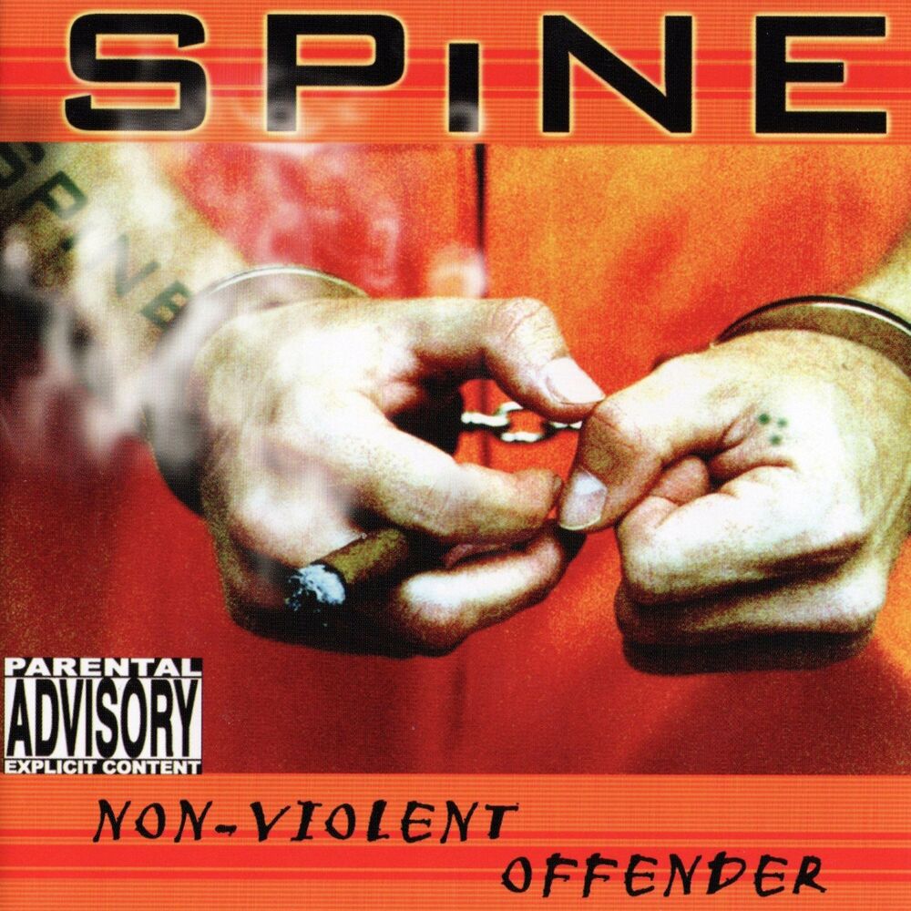 Picture of Non-Violent Offender