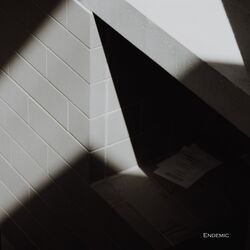 Cover of Endemic