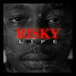 Cover of Risky Life