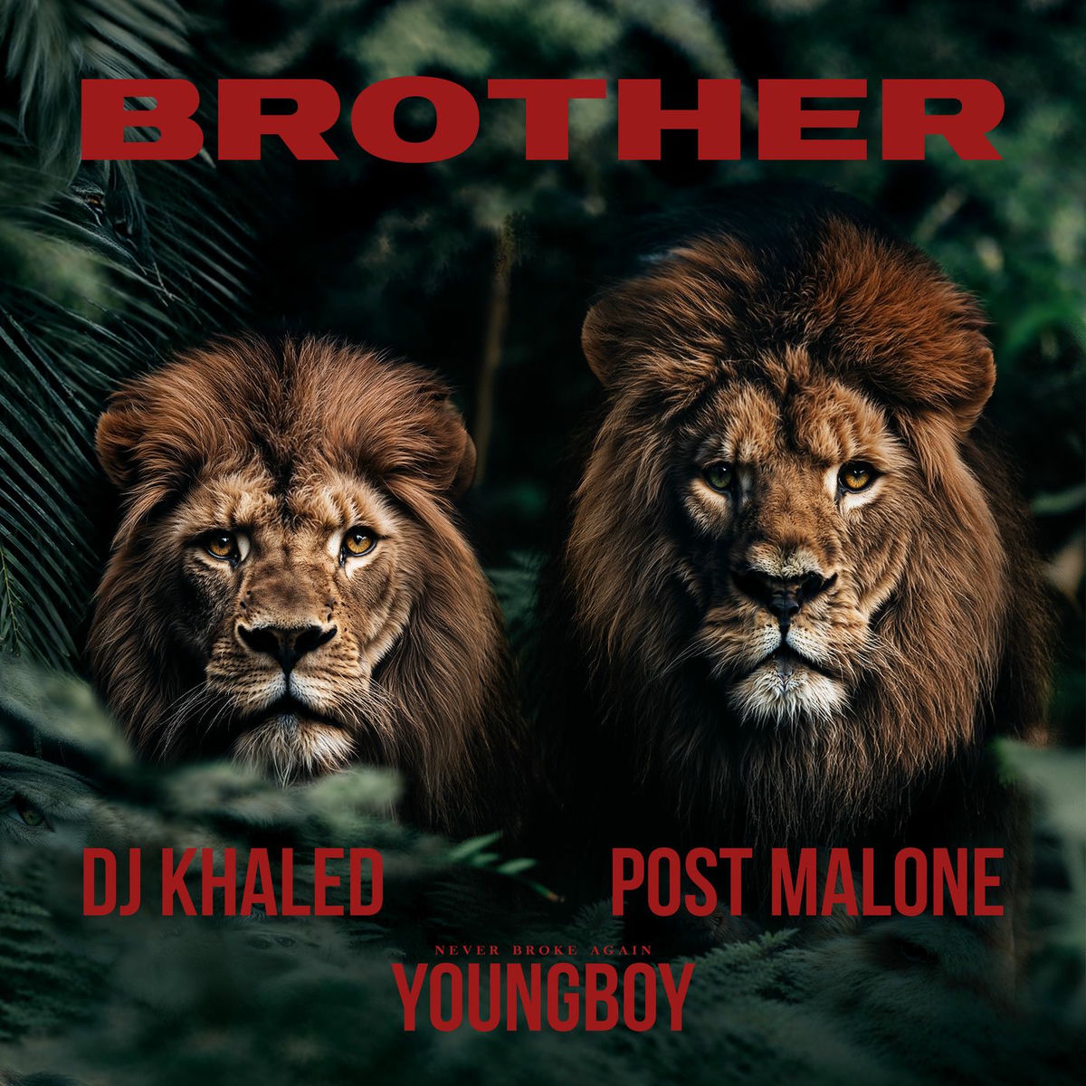 Album cover of Brother