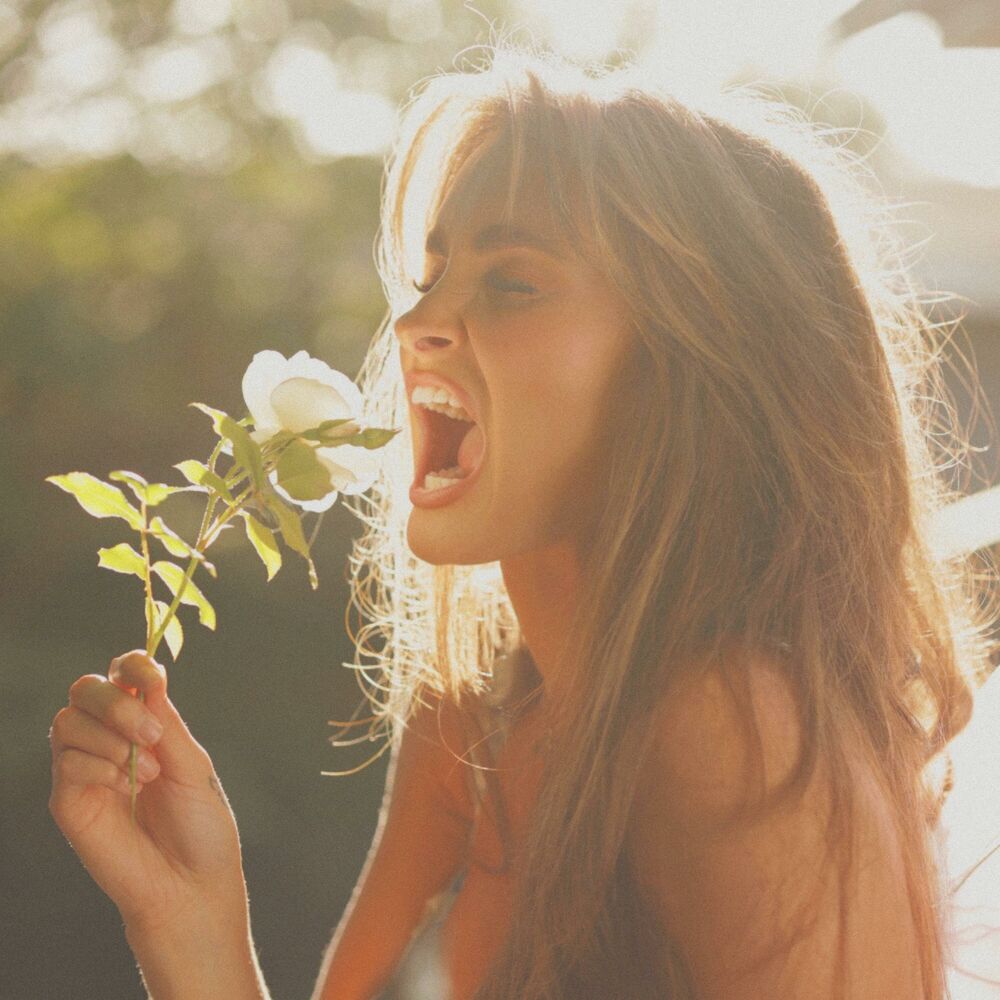 Picture of fragile