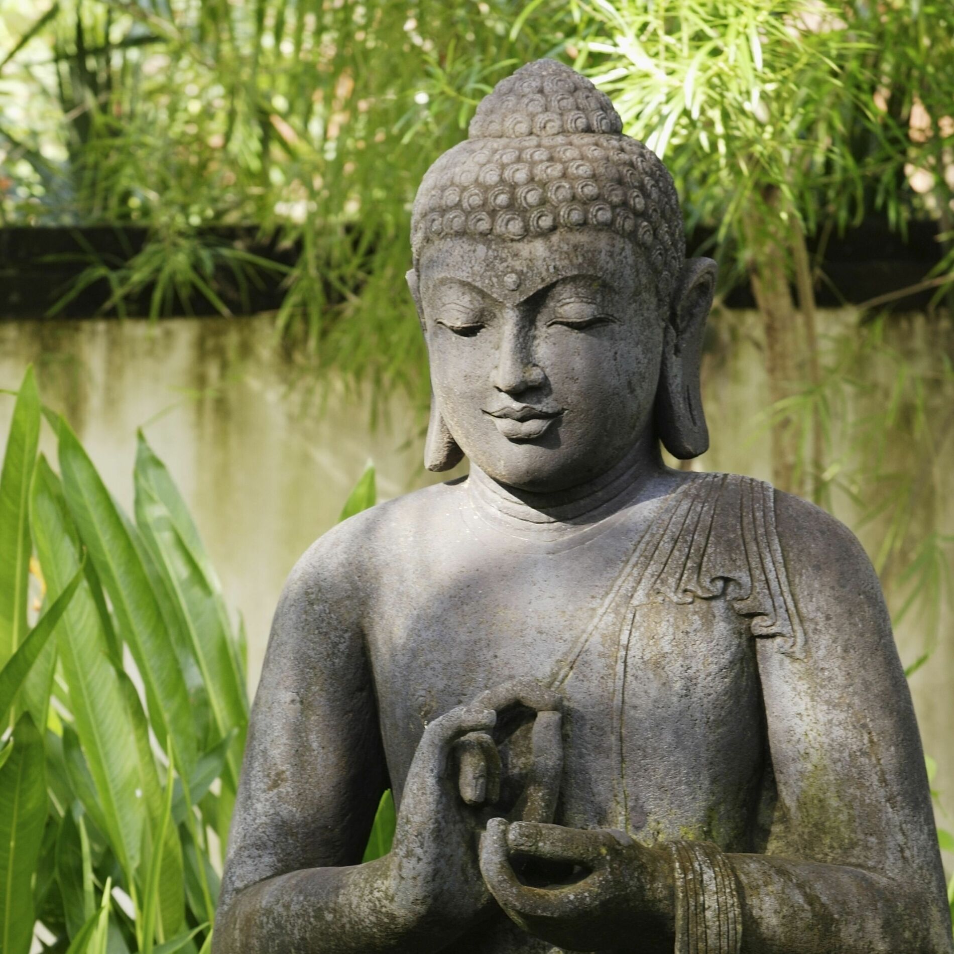 Album cover of The Secret of Peace