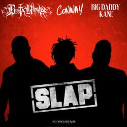 Cover of Slap