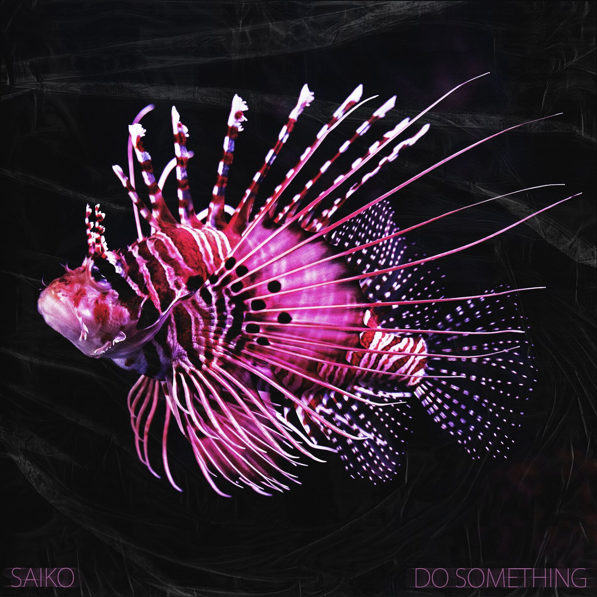 Album cover of Do Something