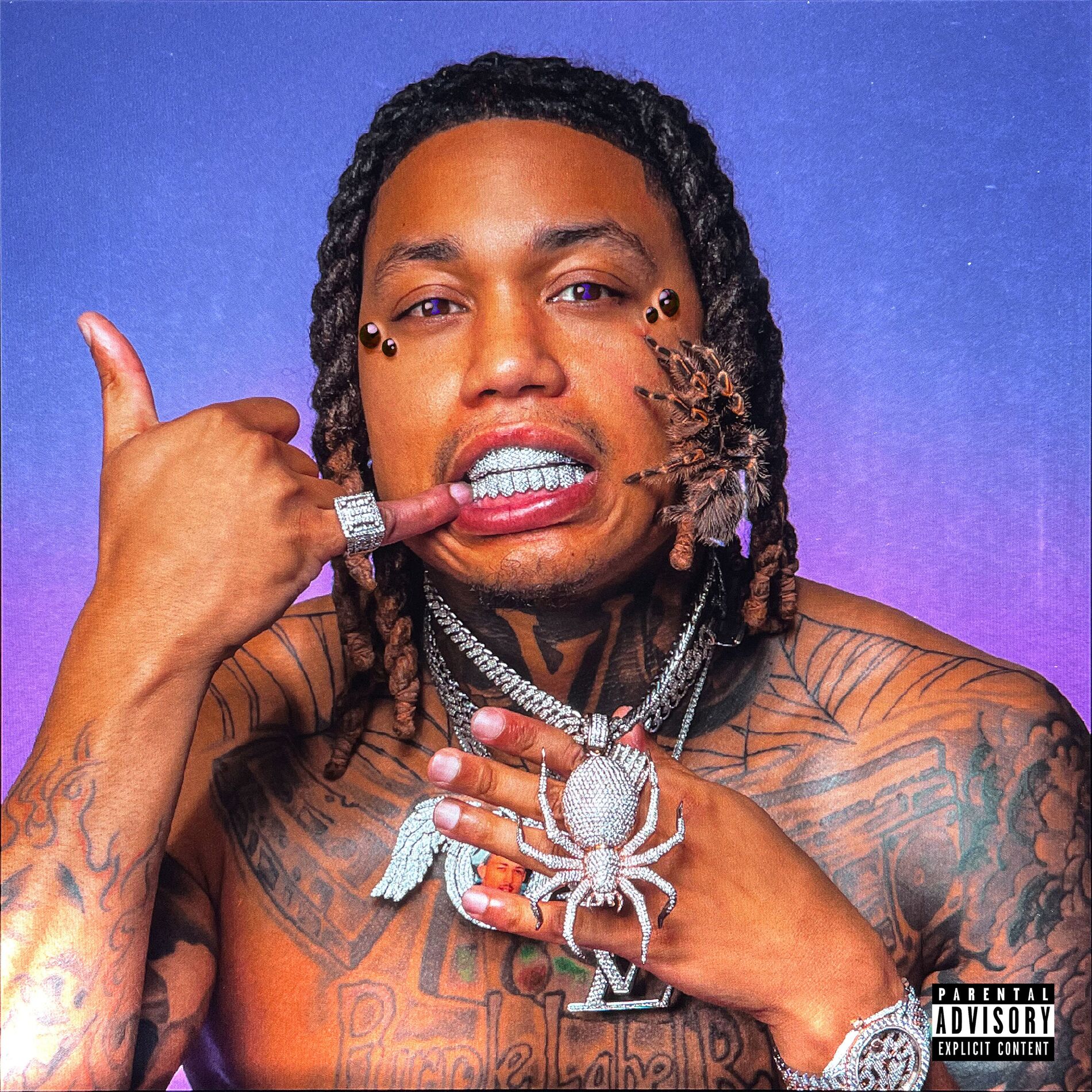 Album cover of Web Life 4