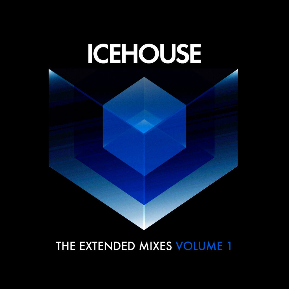 Picture of The Extended Mixes Vol. 1