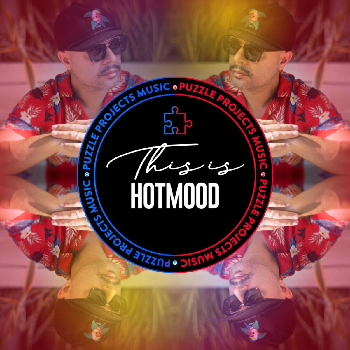 Album cover of THIS IS HOTMOOD
