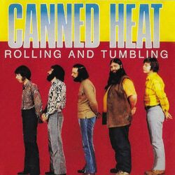 Cover of Rolling and Tumbling