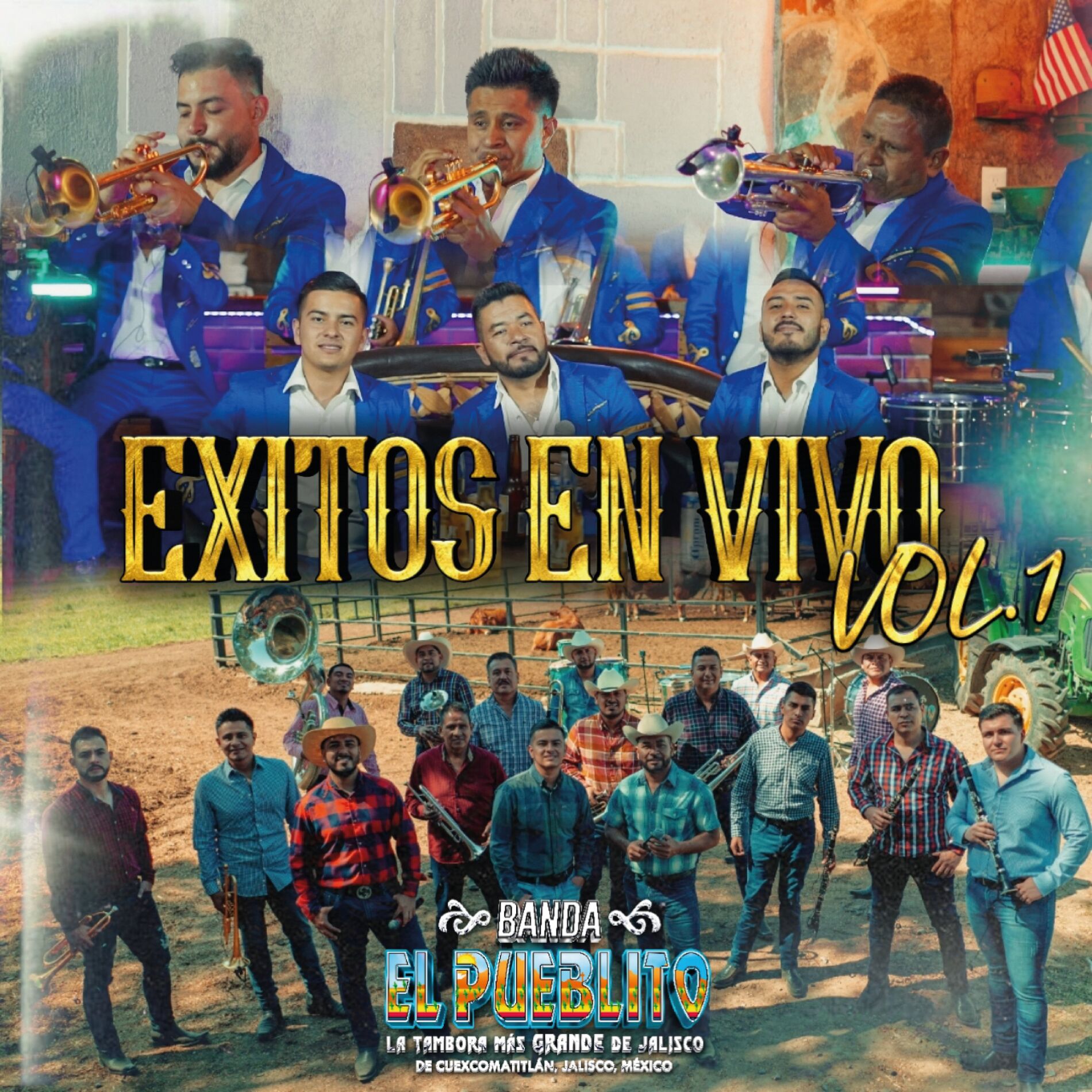 Album cover of Mataron A La Paloma (En Vivo)