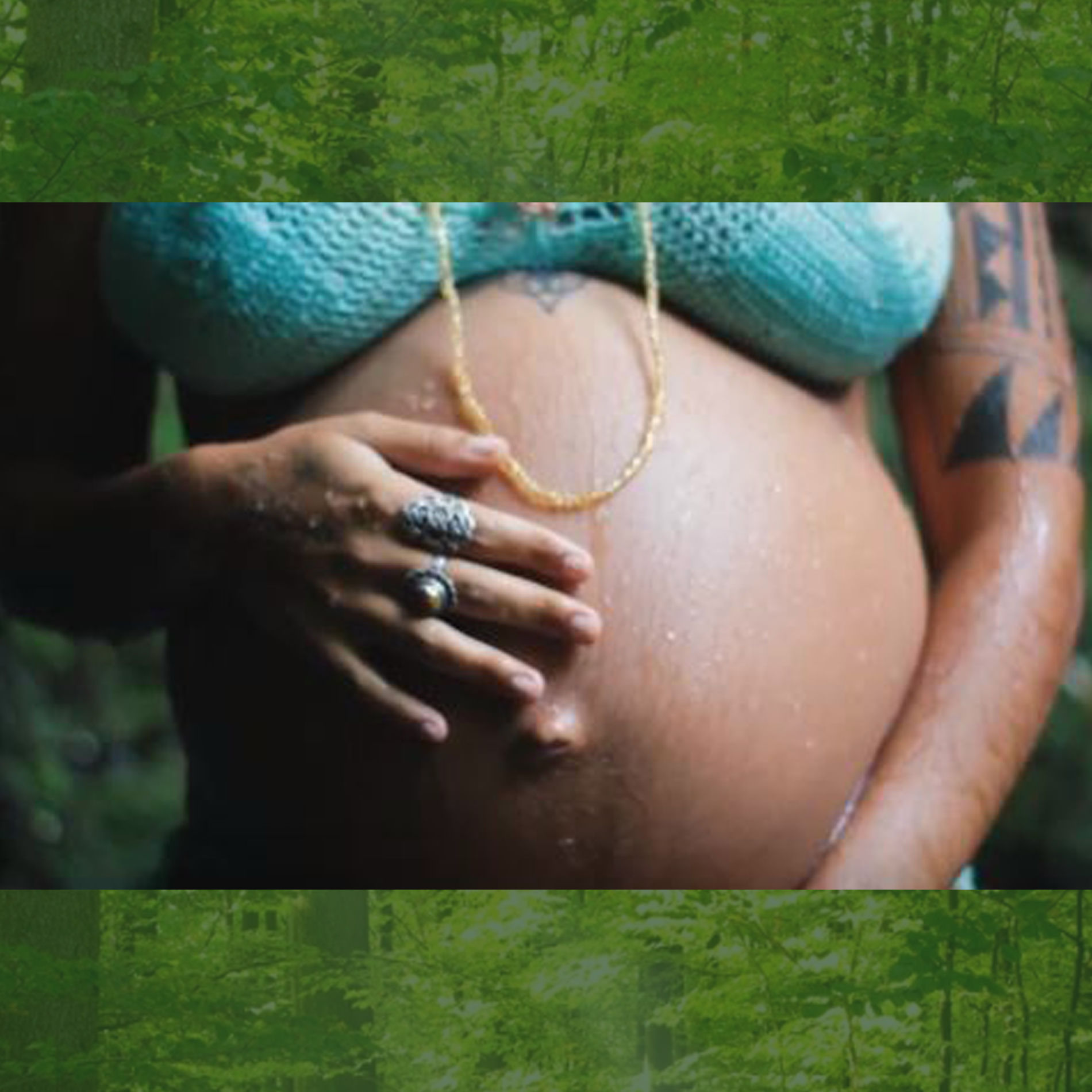 Album cover of Mãe Natureza