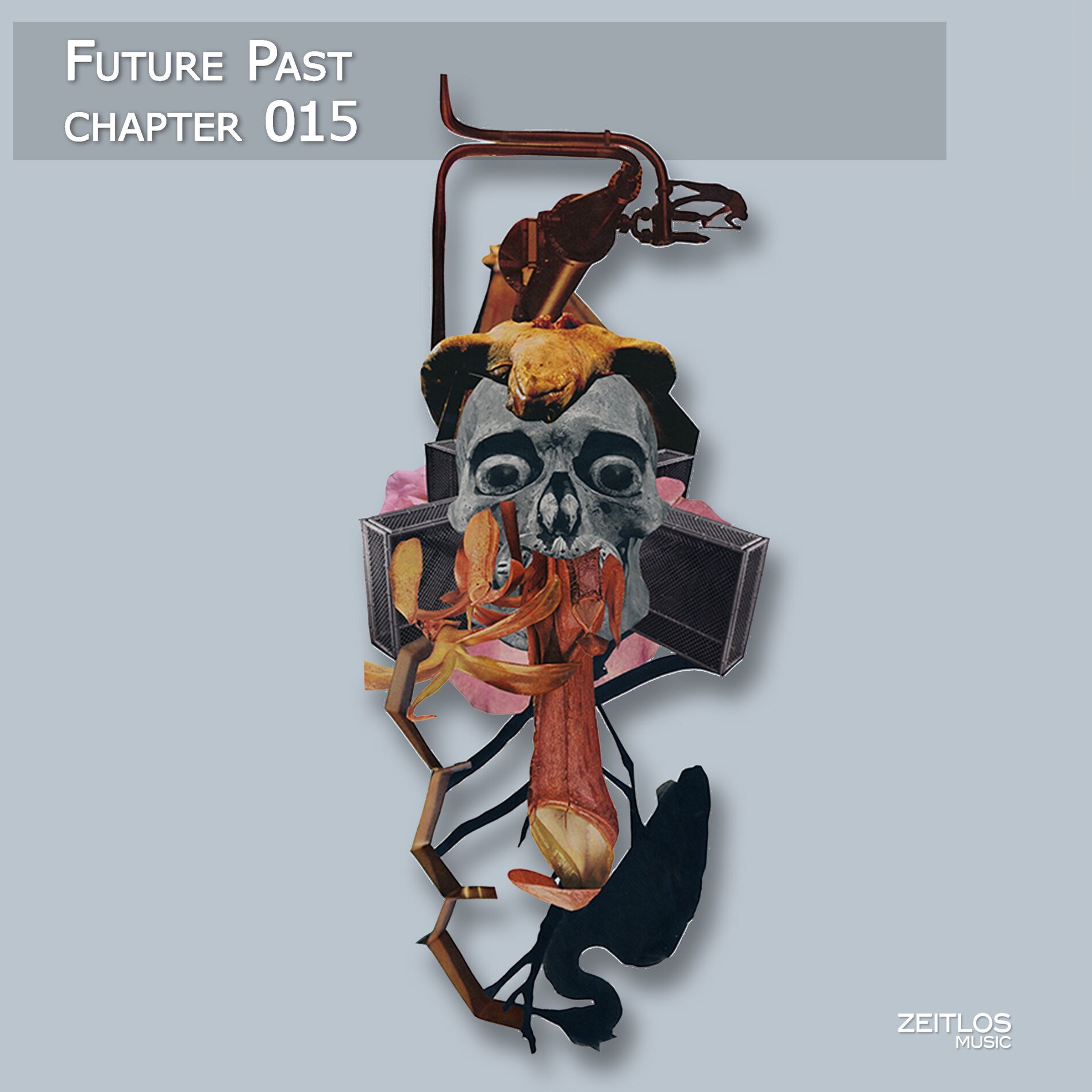 Album cover of Future Past, Chapter 15