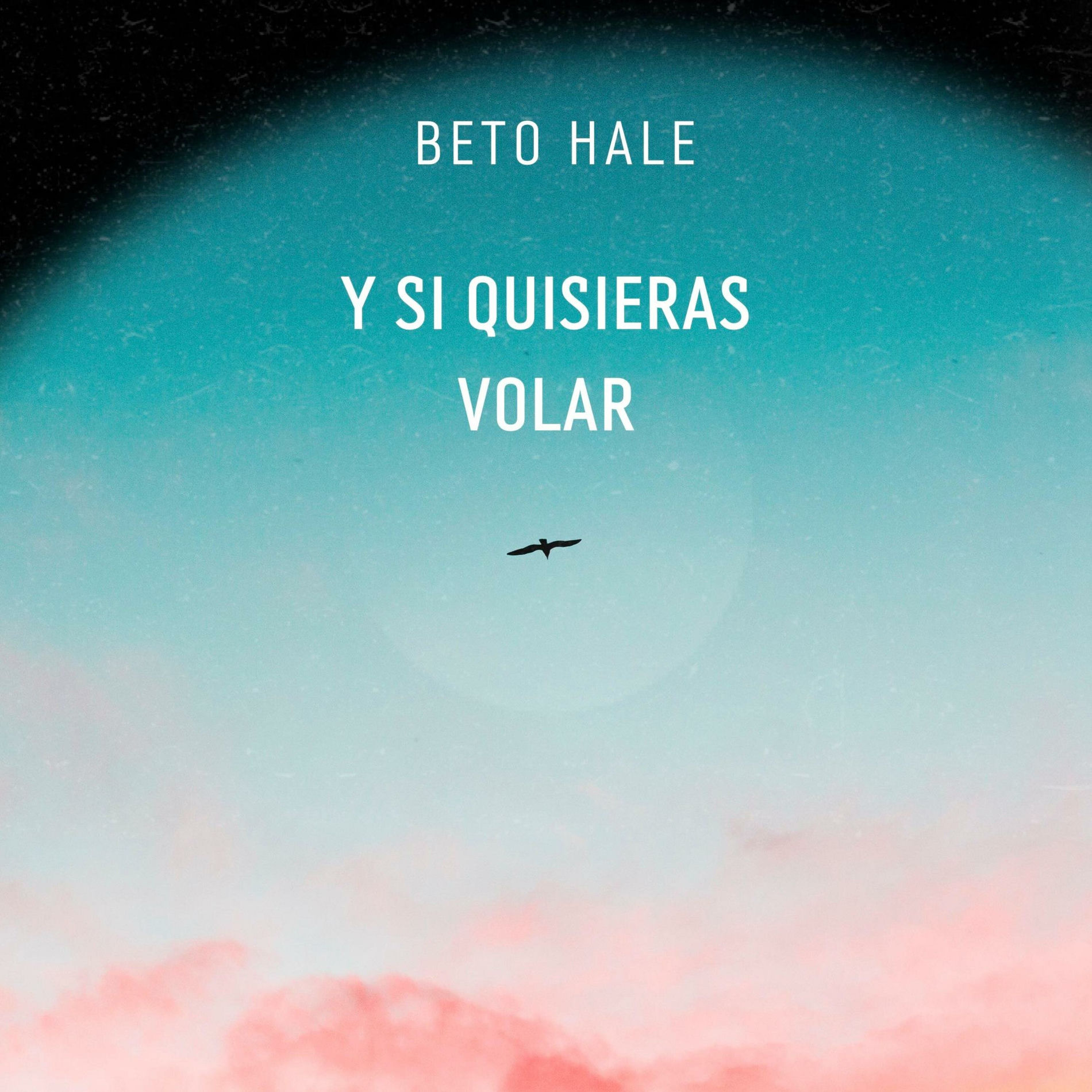 Album cover of Y si quisieras volar (Single)