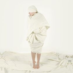 Cover of Warm the Wind