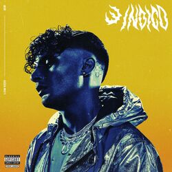 Cover of 3 Indigo