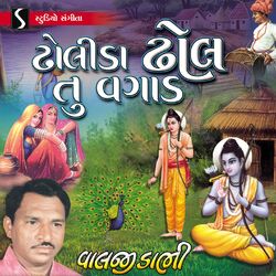 Cover of Dholida Dhol Tu Vagad