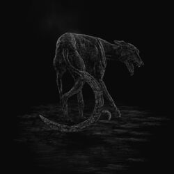 Cover of Requiem