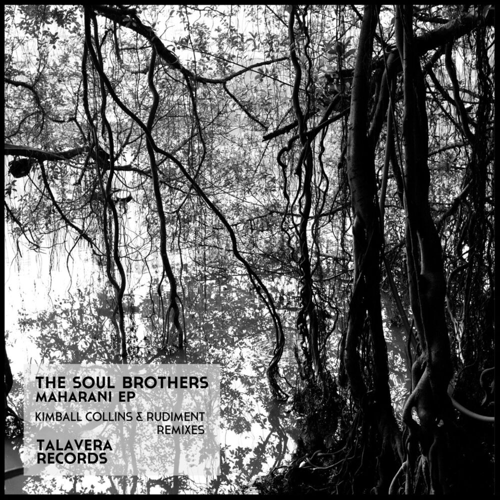 Picture of Talavera Records 03