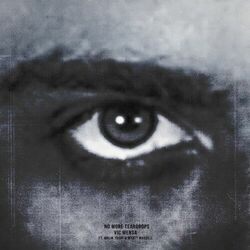 Cover of NO MORE TEARDROPS