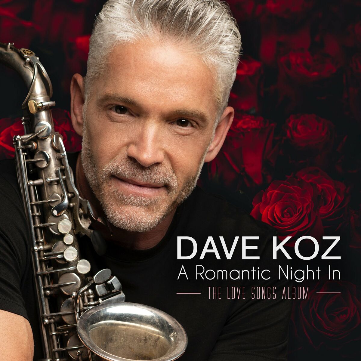 Album cover of A Romantic Night In (The Love Songs Album)