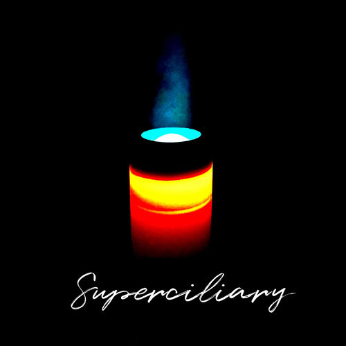 Superciliary artwork