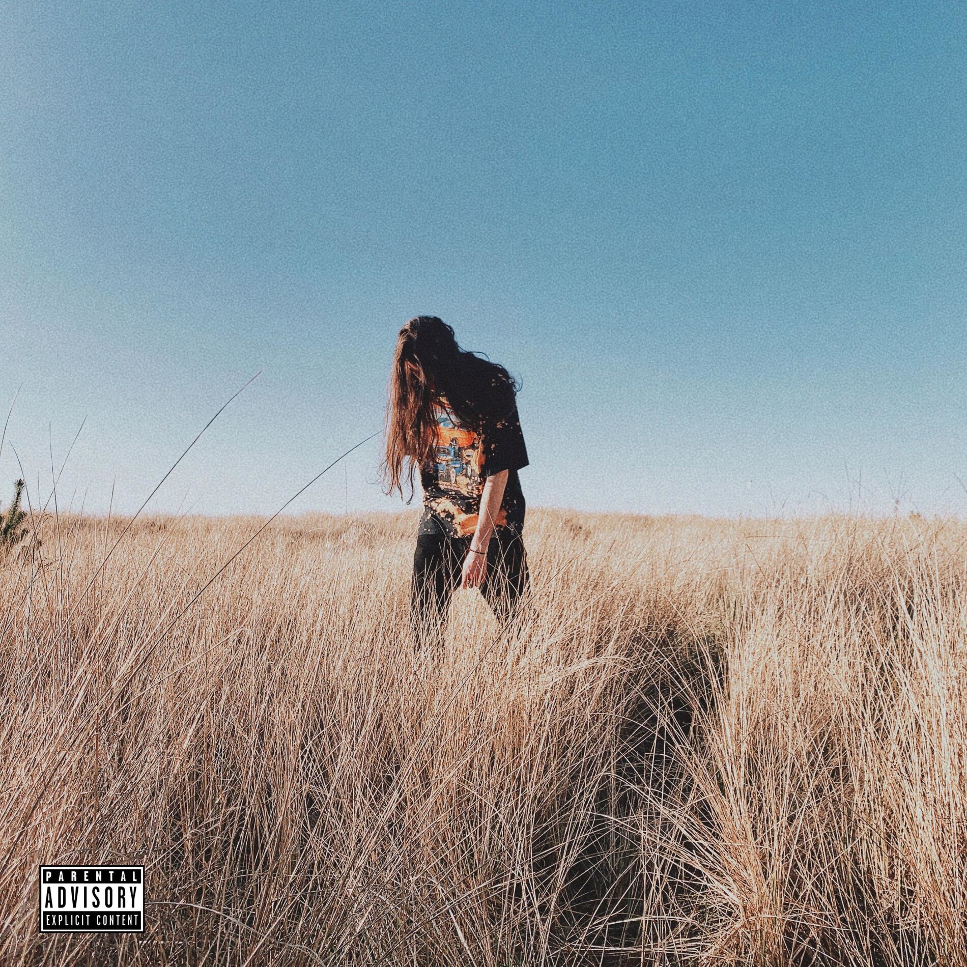 Album cover of Paradise Park